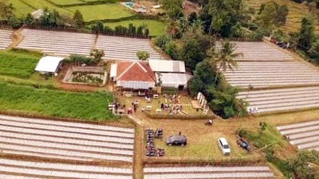 Tanah di Wanayasa Purwakarta Jawa Barat, SHM, Hadap Barat Daya... Tanah Kebun
