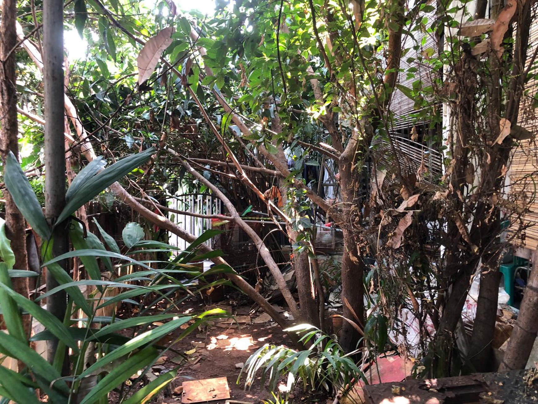 Di jual Rumah Lama  di Jl Gandaria Kramat Pela Kebayoran Baru Jakarta Selatan 