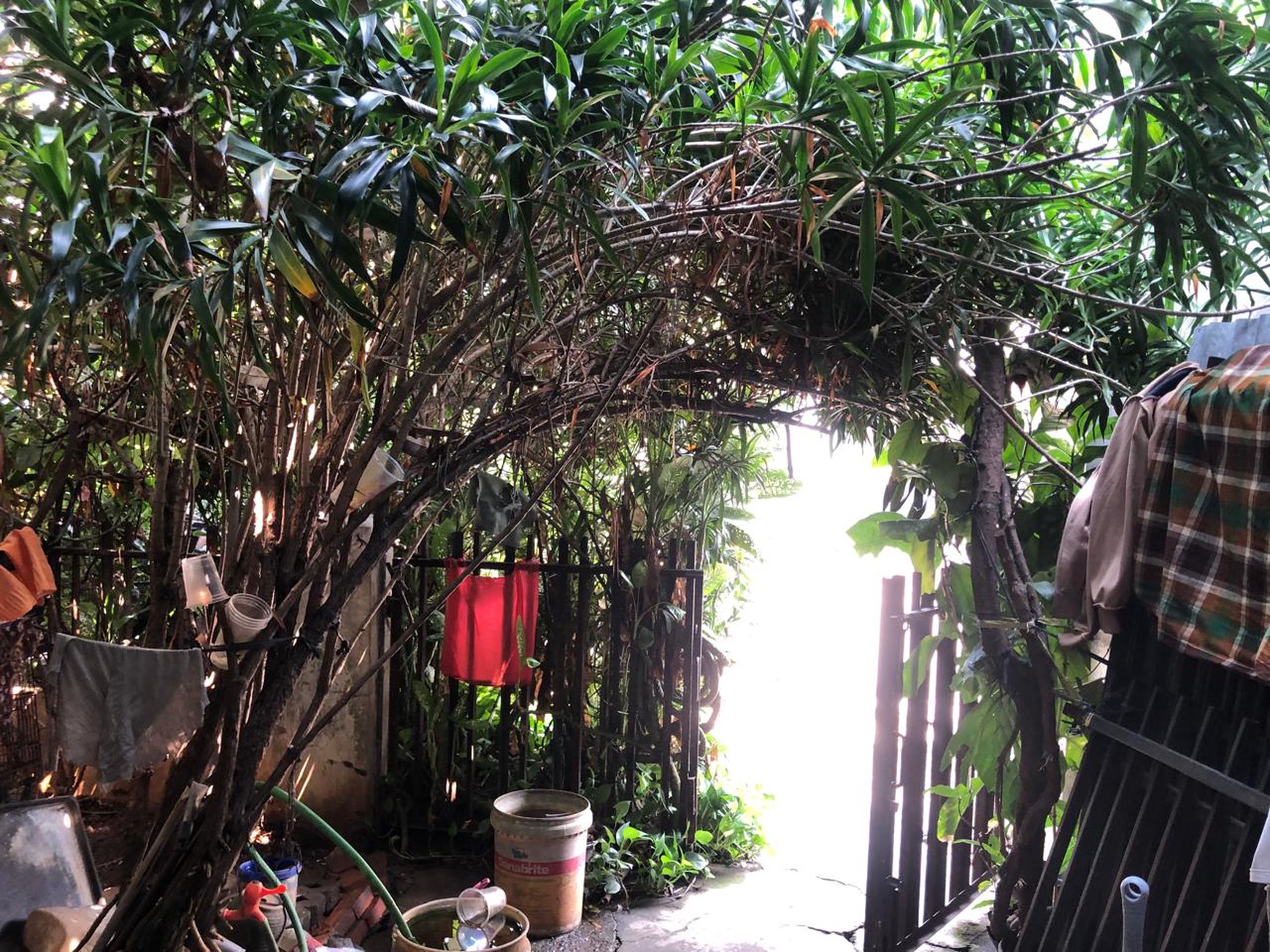 Di jual Rumah Lama  di Jl Gandaria Kramat Pela Kebayoran Baru Jakarta Selatan 