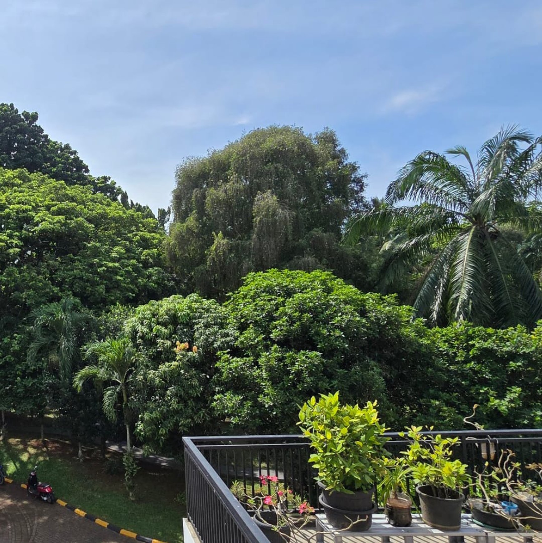 Rumah Minimalis 2 Lantai Siap Huni di Puspita Loka BSD Dekat Sekolah