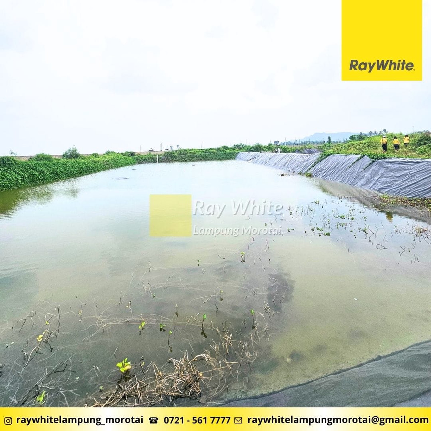 Dijual ex Tambak di Tepi Pantai ml