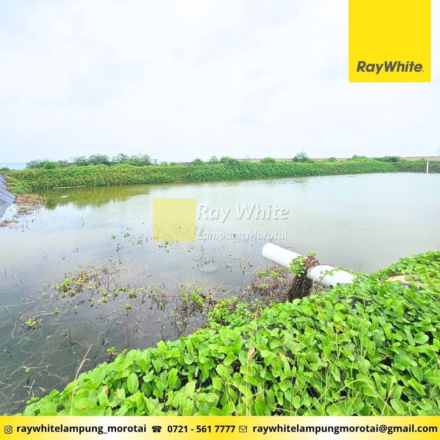 Dijual ex Tambak di Tepi Pantai ml