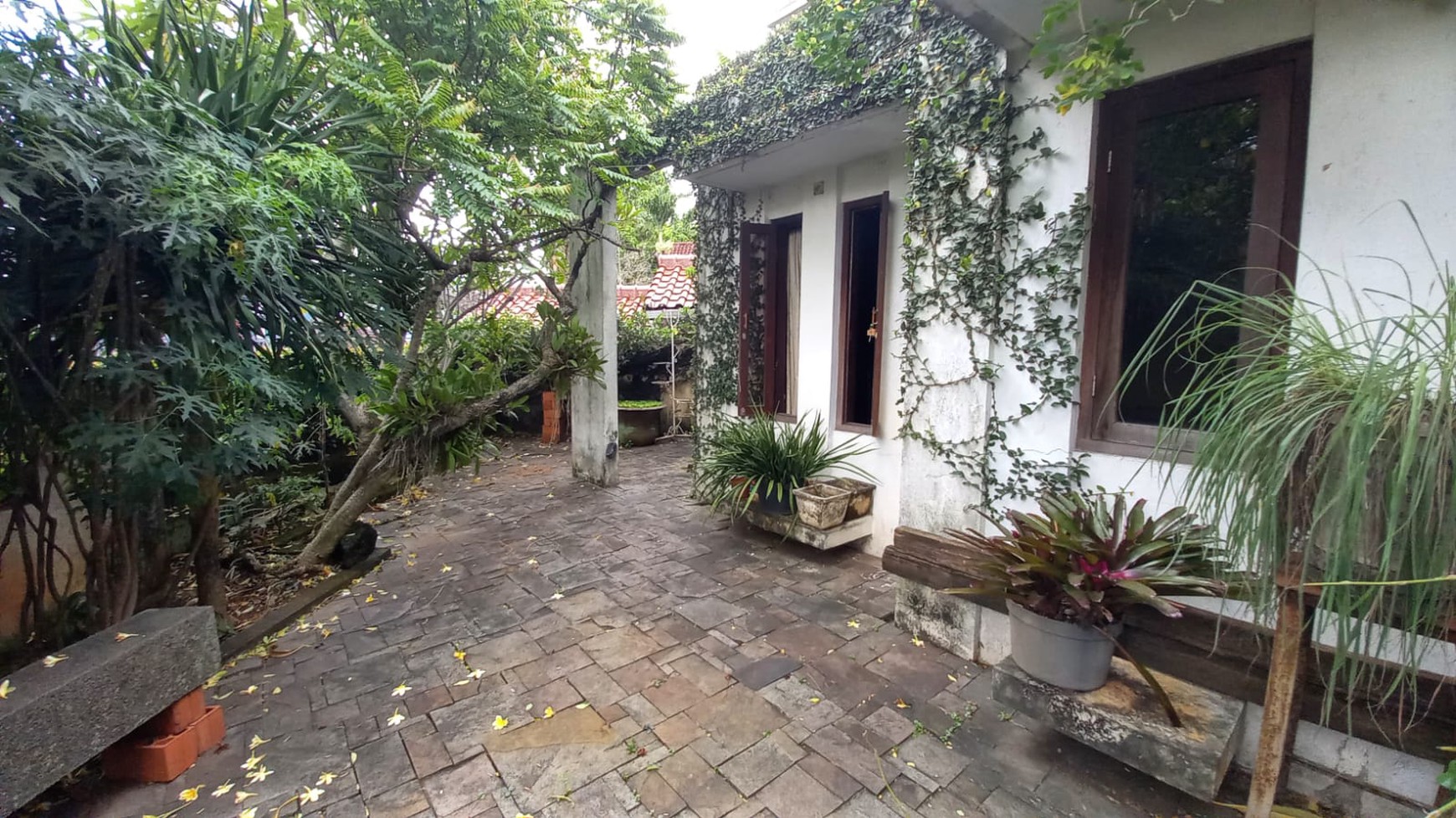 Dijual Rumah Beserta Paviliun di Wilayah Pejaten, Lingkungan Tenang, Nyaman, dan Exclusive