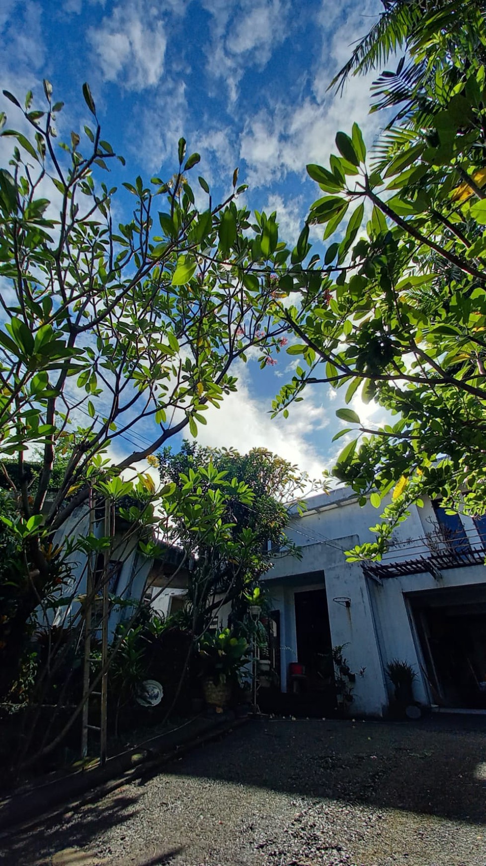 Dijual Rumah Beserta Paviliun di Wilayah Pejaten, Lingkungan Tenang, Nyaman, dan Exclusive