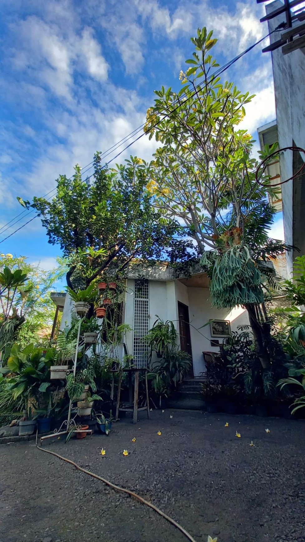 Dijual Rumah Beserta Paviliun di Wilayah Pejaten, Lingkungan Tenang, Nyaman, dan Exclusive