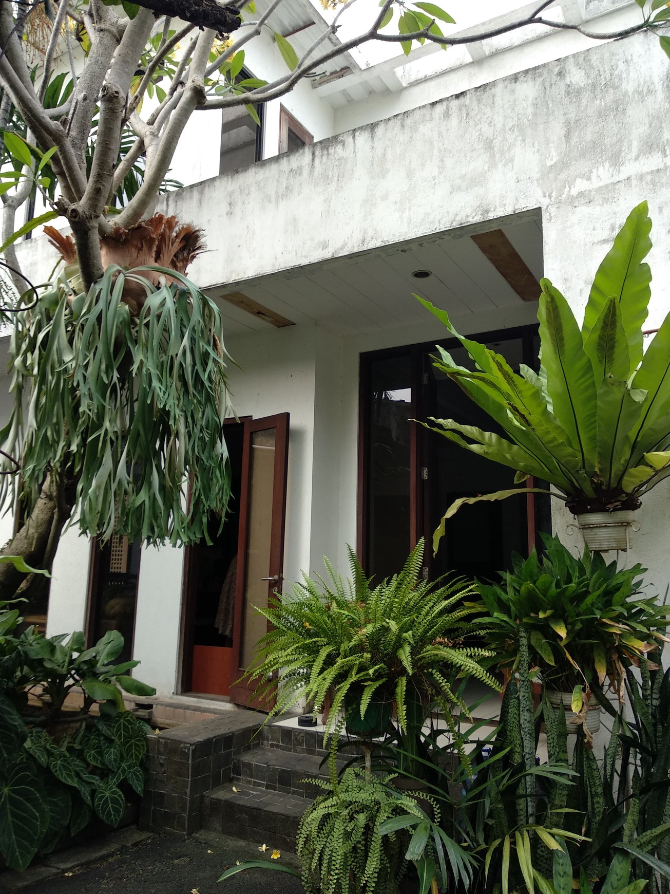 Dijual Rumah Beserta Paviliun di Wilayah Pejaten, Lingkungan Tenang, Nyaman, dan Exclusive