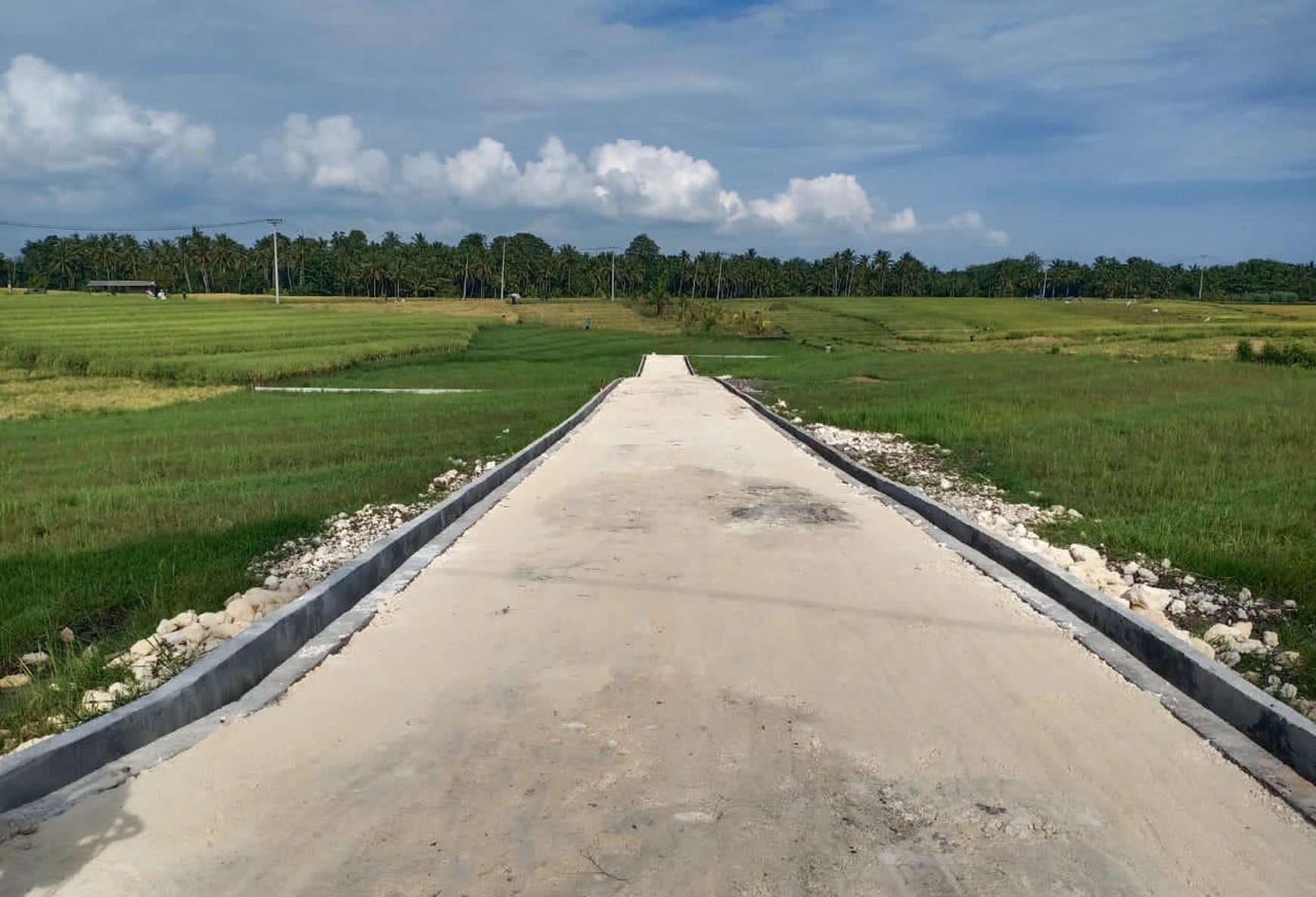 Land Freehold 405 Sqm In Beraban Tabanan