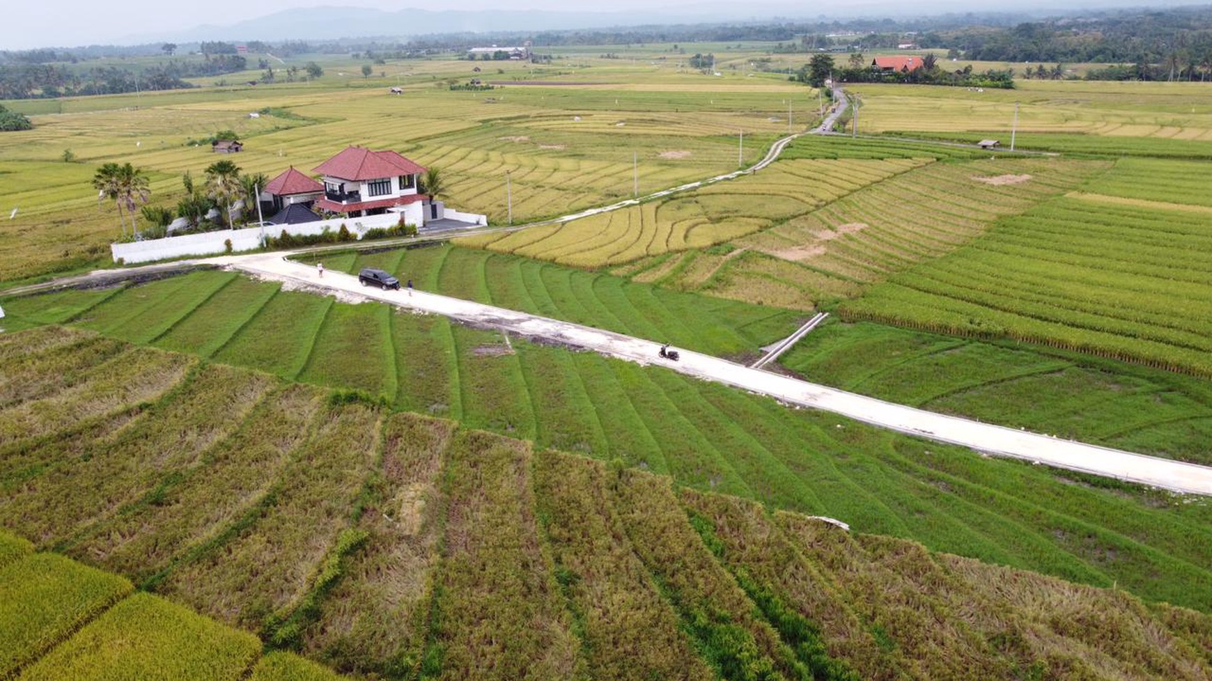 Land Freehold 405 Sqm In Beraban Tabanan
