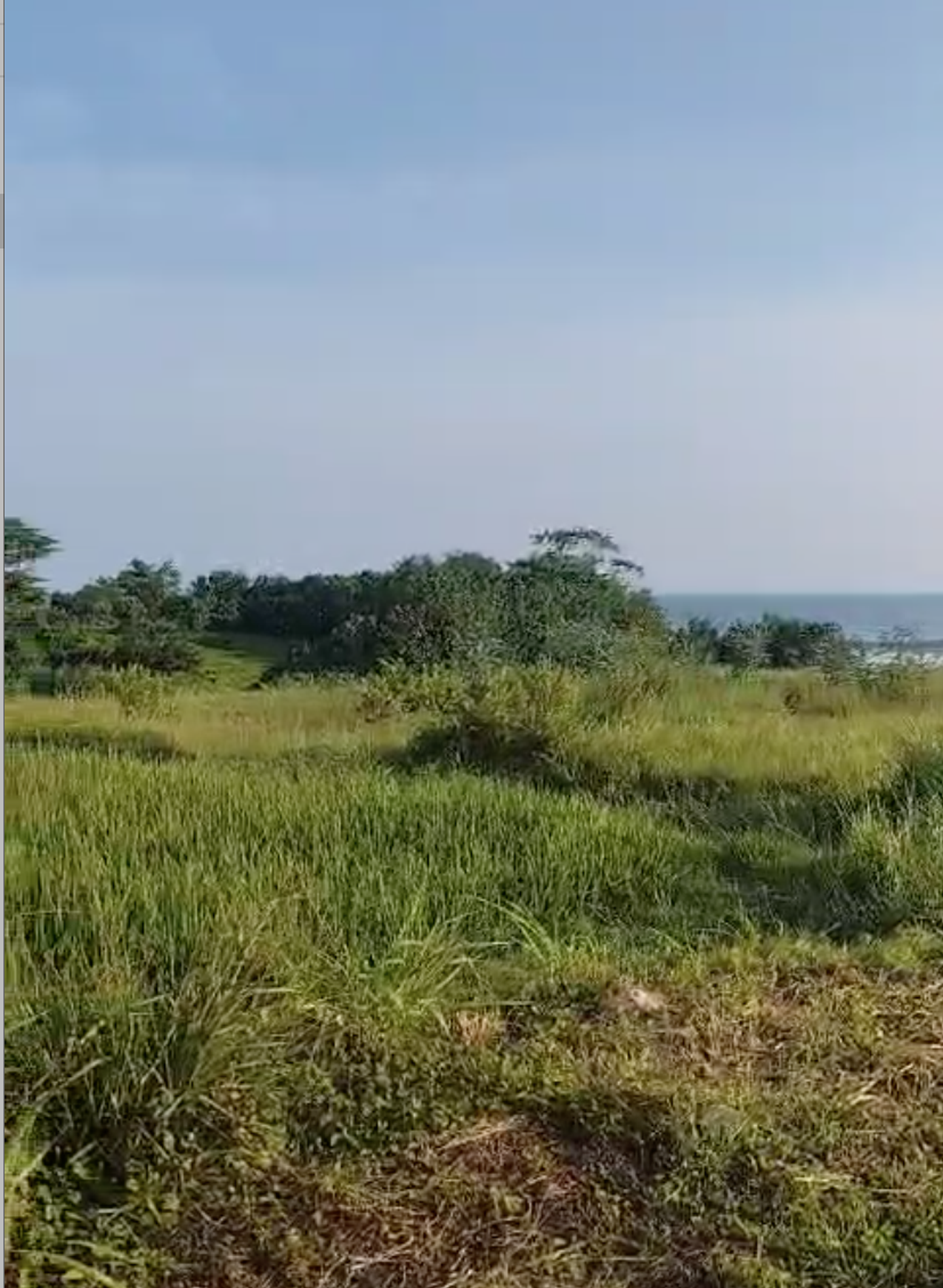 Land Freehold 100 Meter To Beach Beraban Tabanan Bali