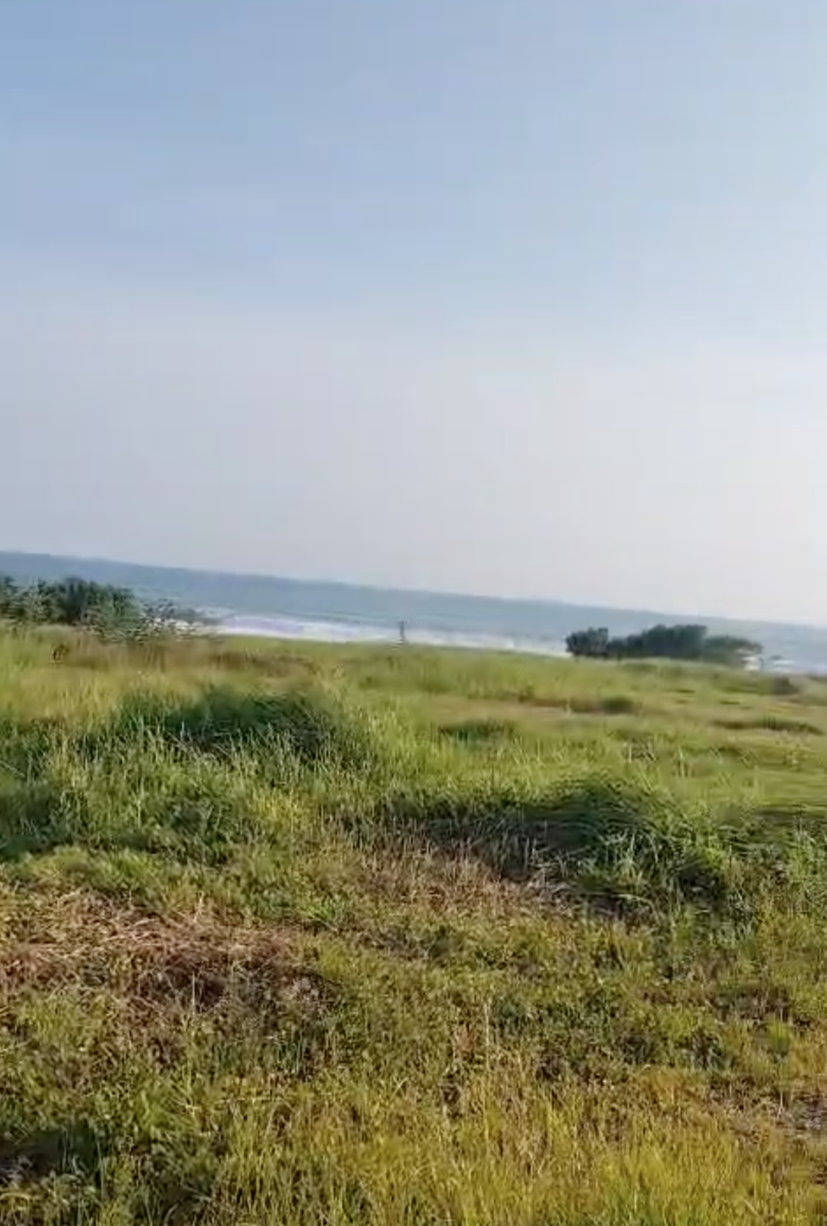 Land Freehold 100 Meter To Beach Beraban Tabanan Bali