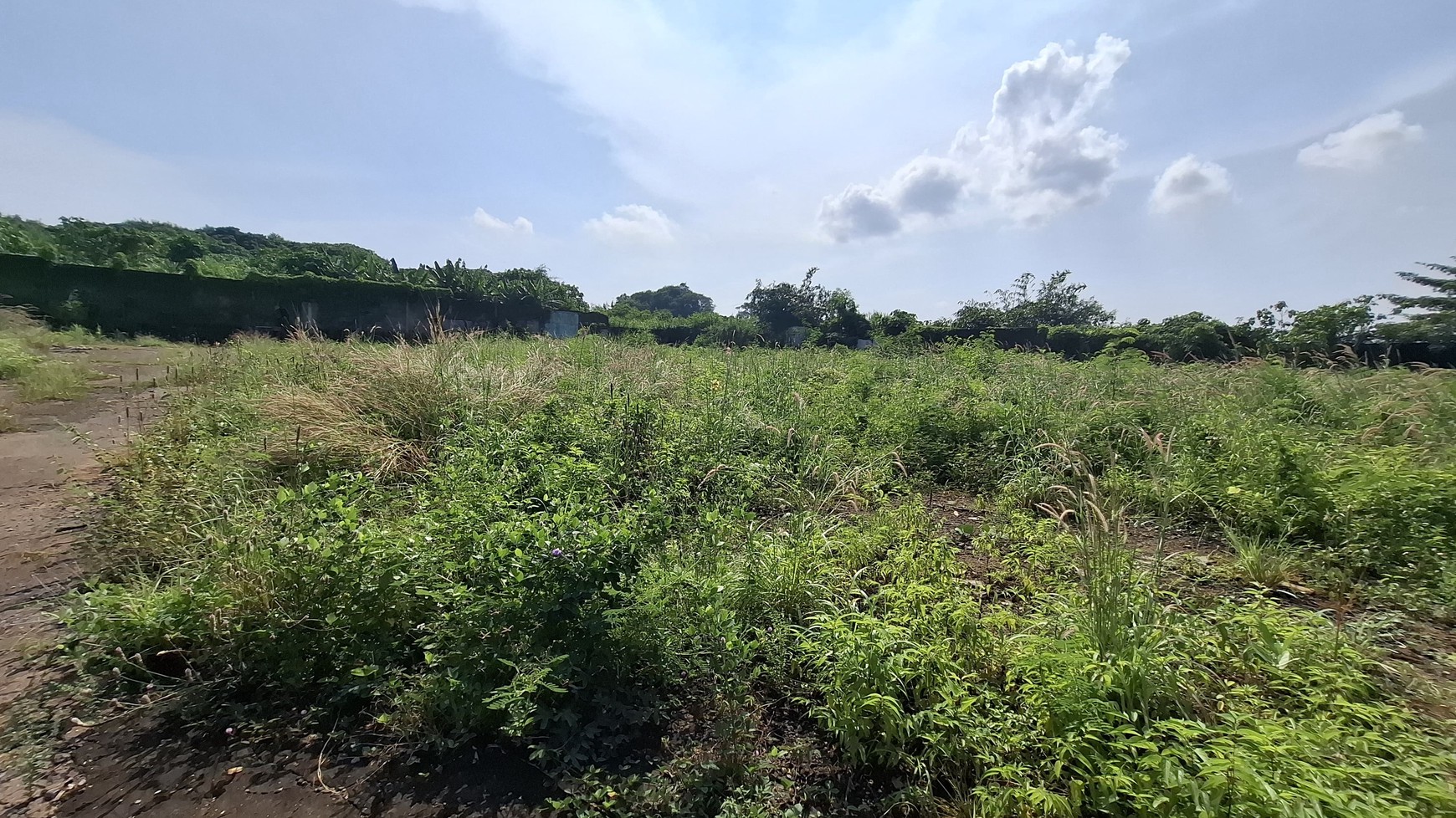 Tanah dan Bangunan ex Pabrik Dijual di Bawah Harga NJOP di Semarang