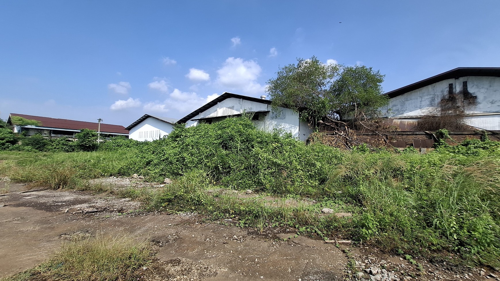 Tanah dan Bangunan ex Pabrik Dijual di Bawah Harga NJOP di Semarang