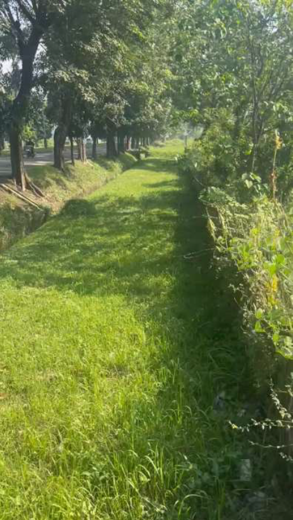 Kavling 3Ha di kawasan Industrial Estate Cilegon