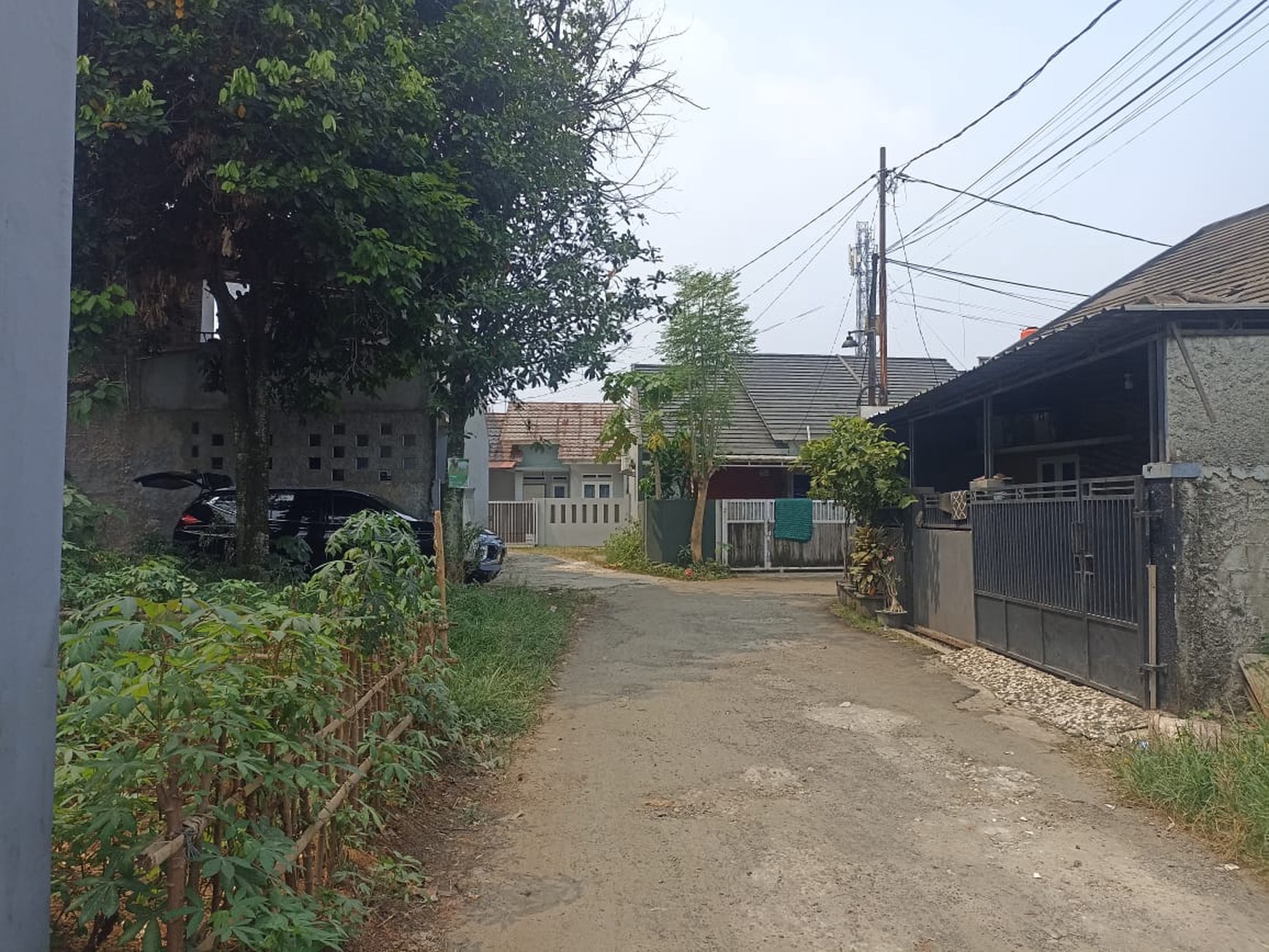 Kavling Siap Bangun Di Grand Pakis Residence, Jl Beringin, Gunung Sindur