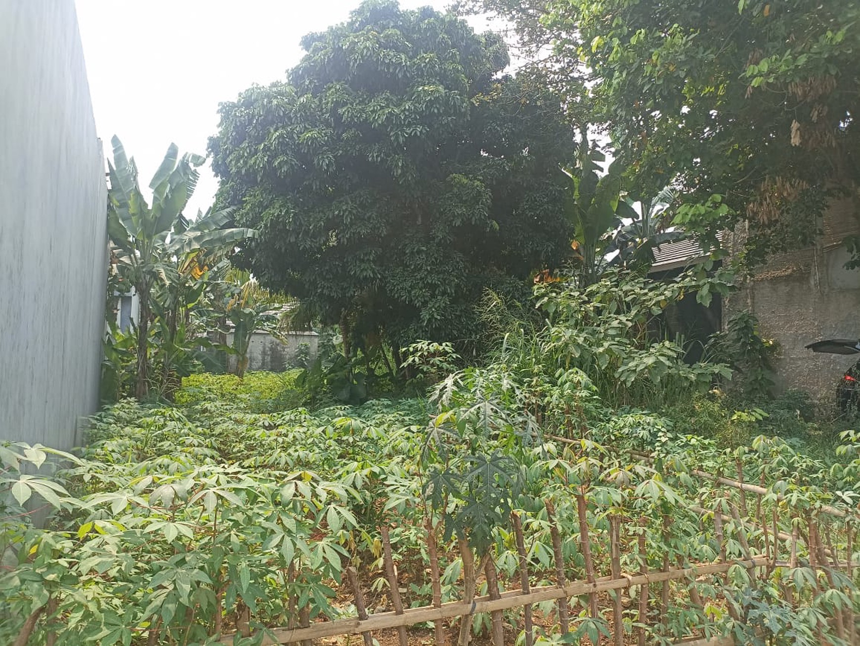 Kavling Siap Bangun Di Grand Pakis Residence, Jl Beringin, Gunung Sindur