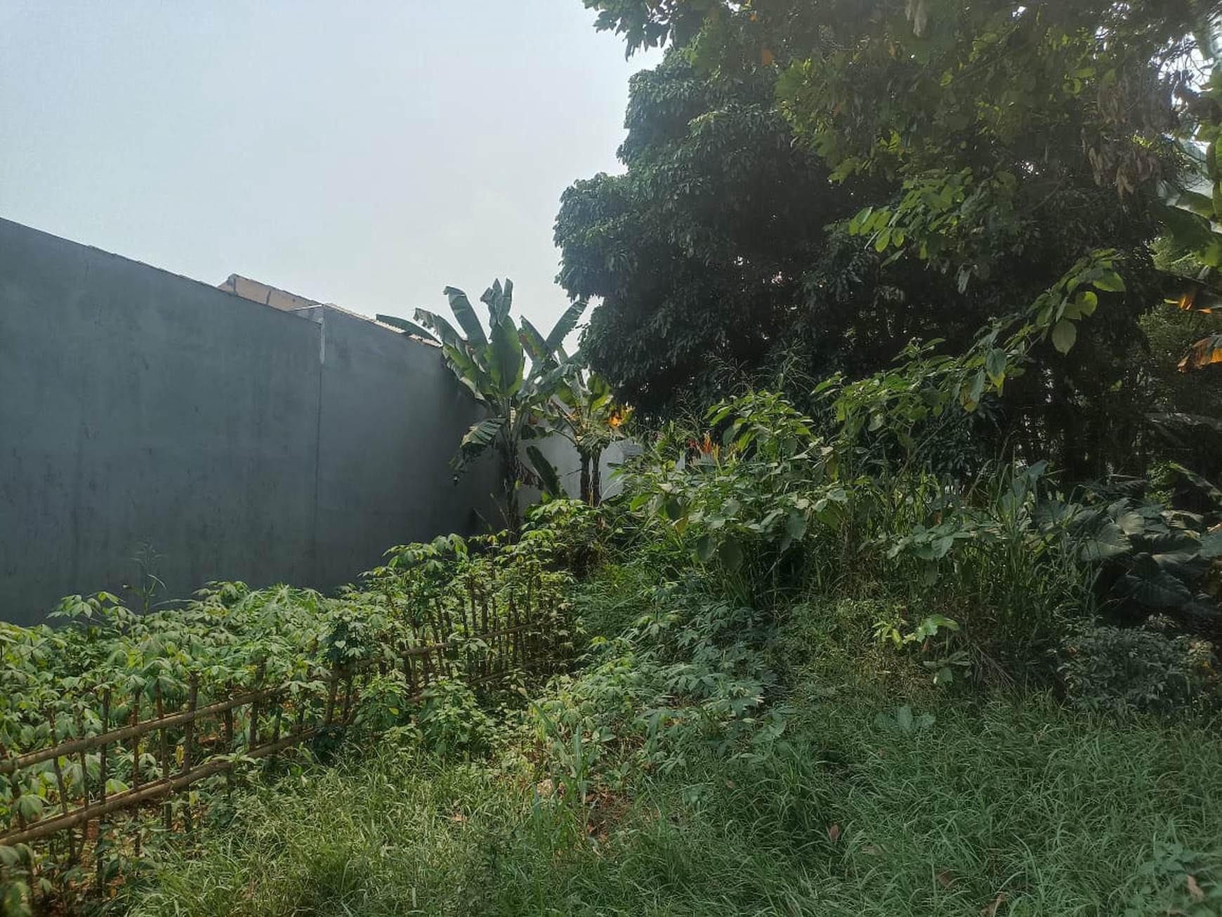 Kavling Siap Bangun Di Grand Pakis Residence, Jl Beringin, Gunung Sindur