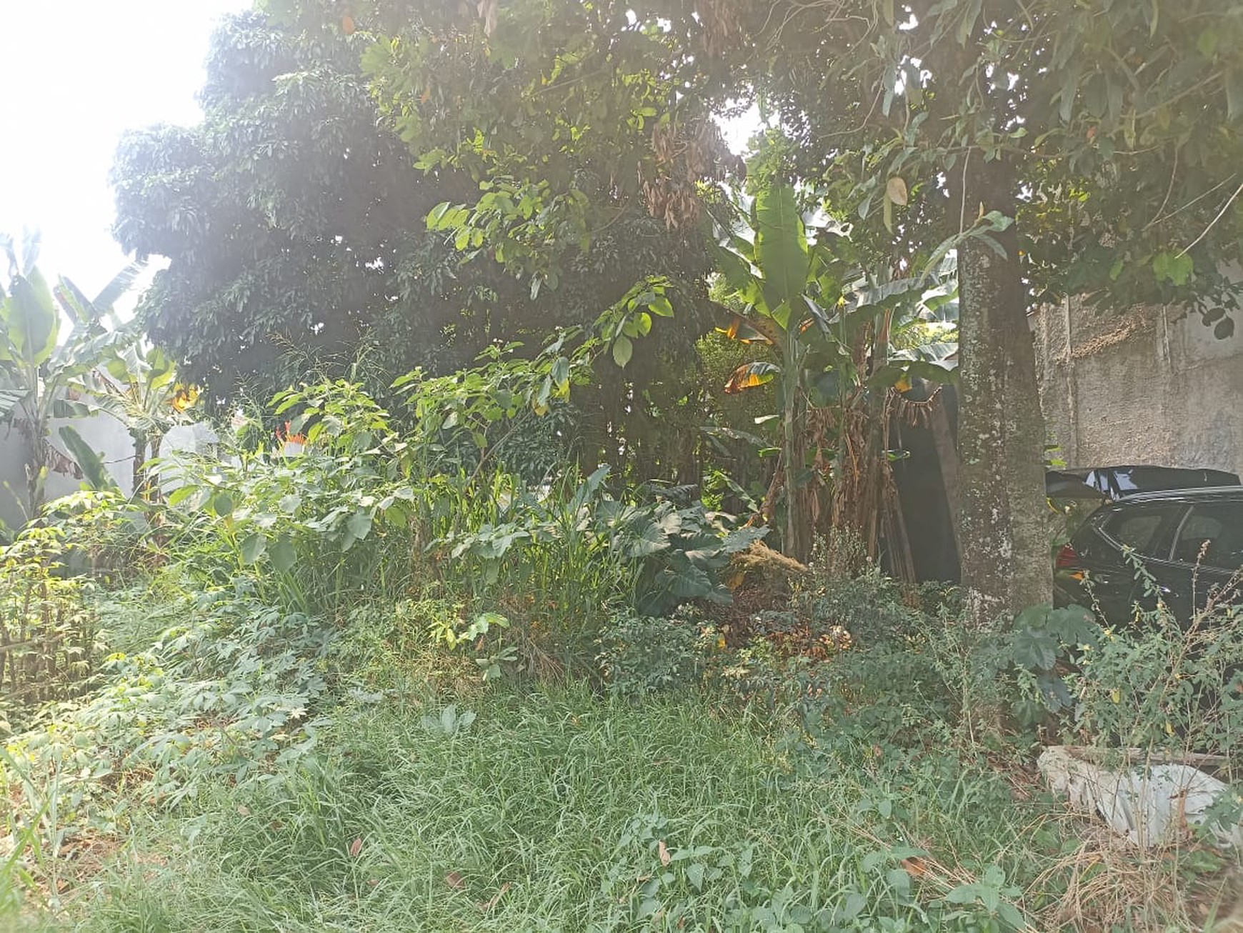 Kavling Siap Bangun Di Grand Pakis Residence, Jl Beringin, Gunung Sindur