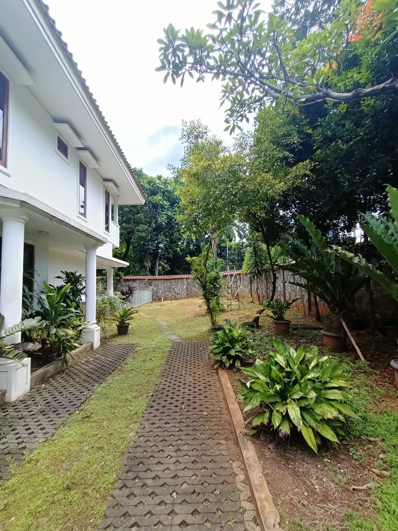 Bigl House di Area yang Tenang dan Nyaman dan strategis, Menteng Jakarta pusat 