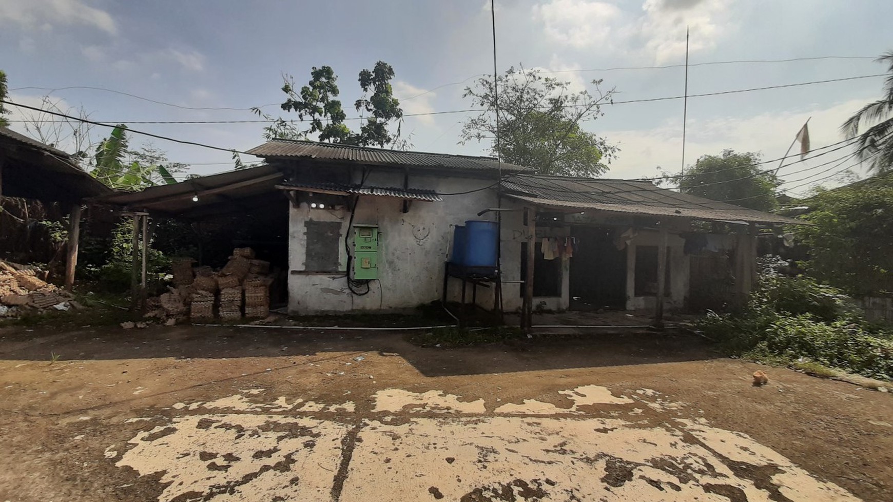 Peternakan Ayam di Bogor