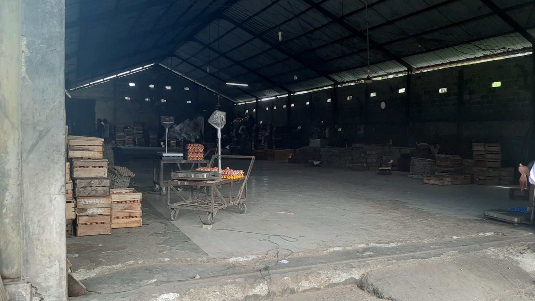 Peternakan Ayam di Bogor