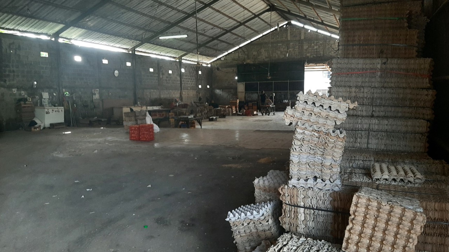 Peternakan Ayam di Bogor