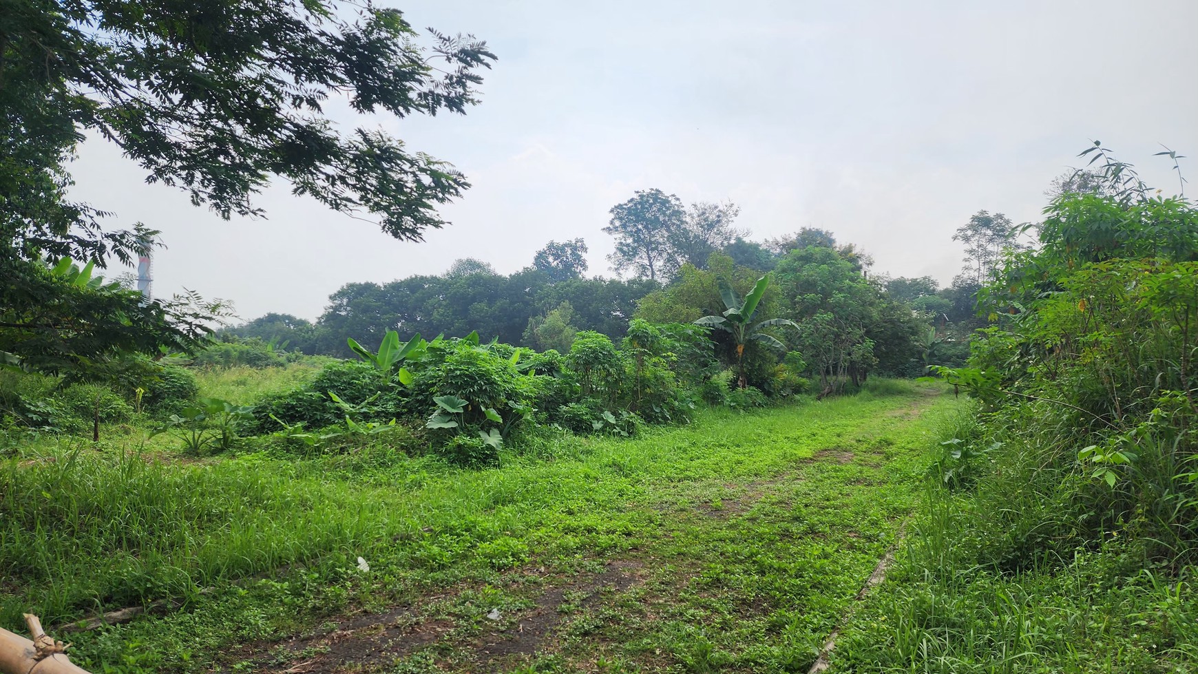 Tanah siap bangun di Narogong