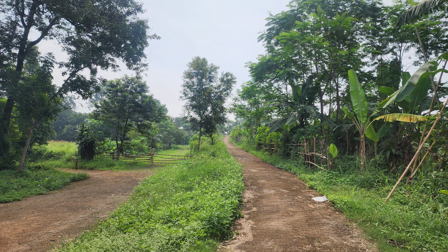 Tanah siap bangun di Narogong