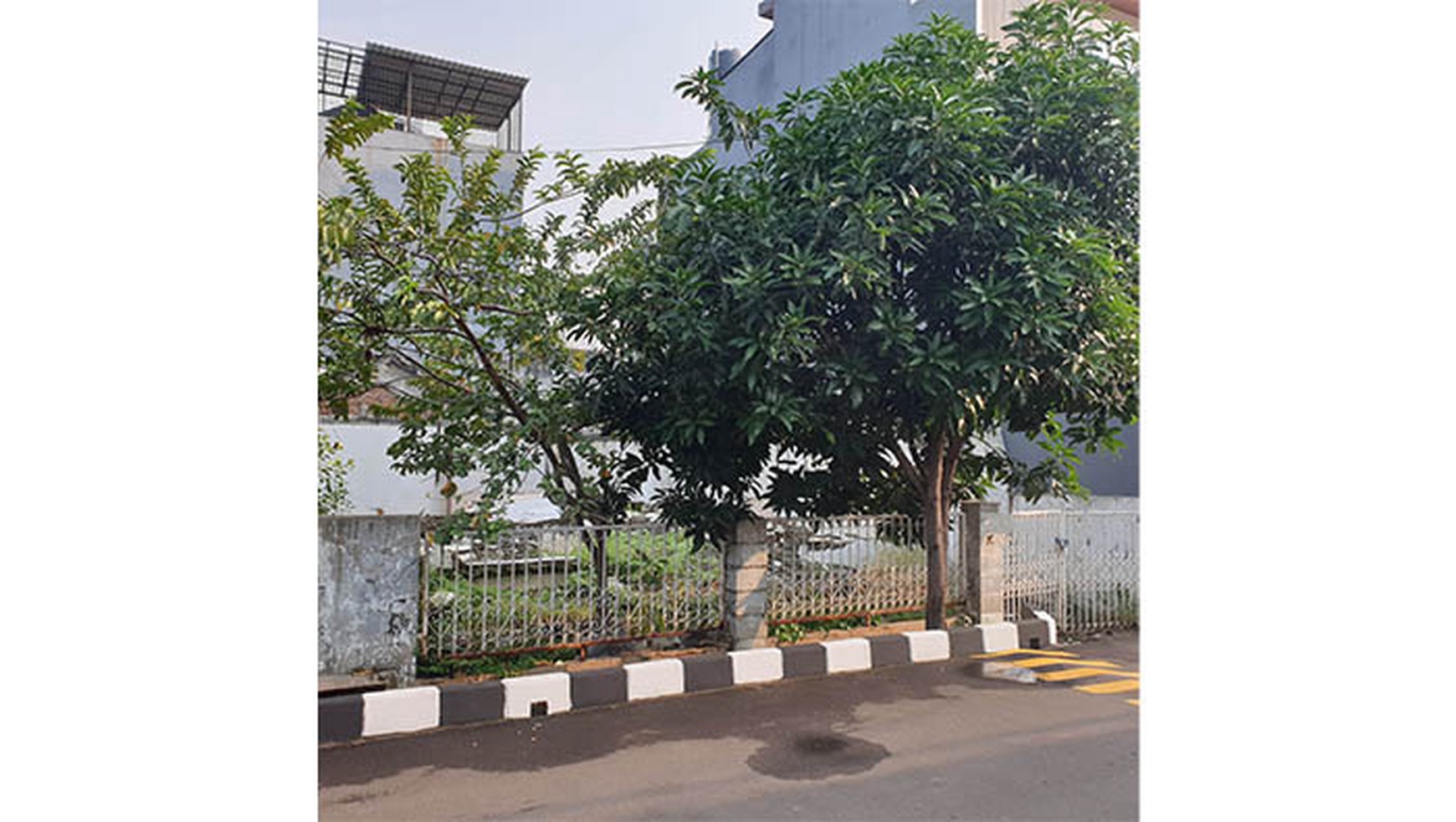 Rumah Kelapa Nias, Kelapa Gading