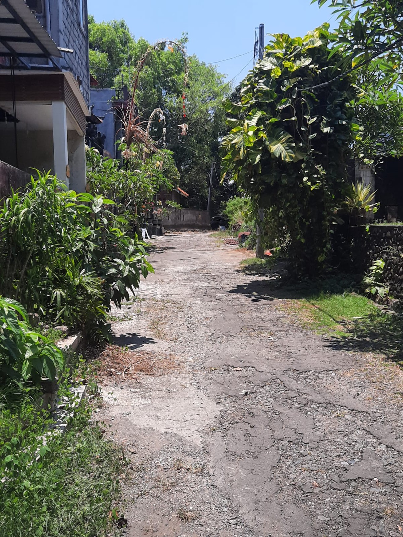 Property Freehold Great Location Denpasar Bali