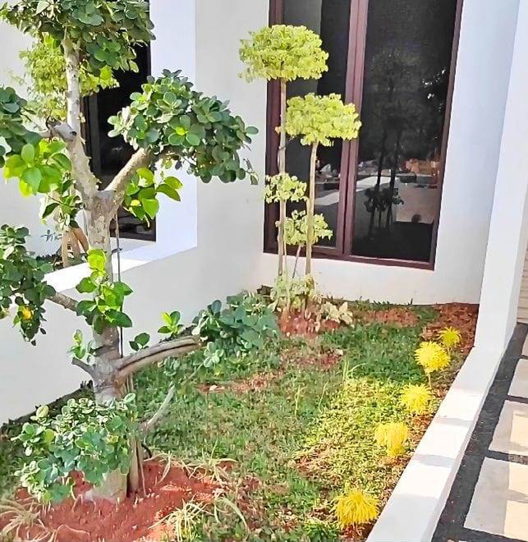 Rumah Brand New,dalam Cluster di Cipadu.