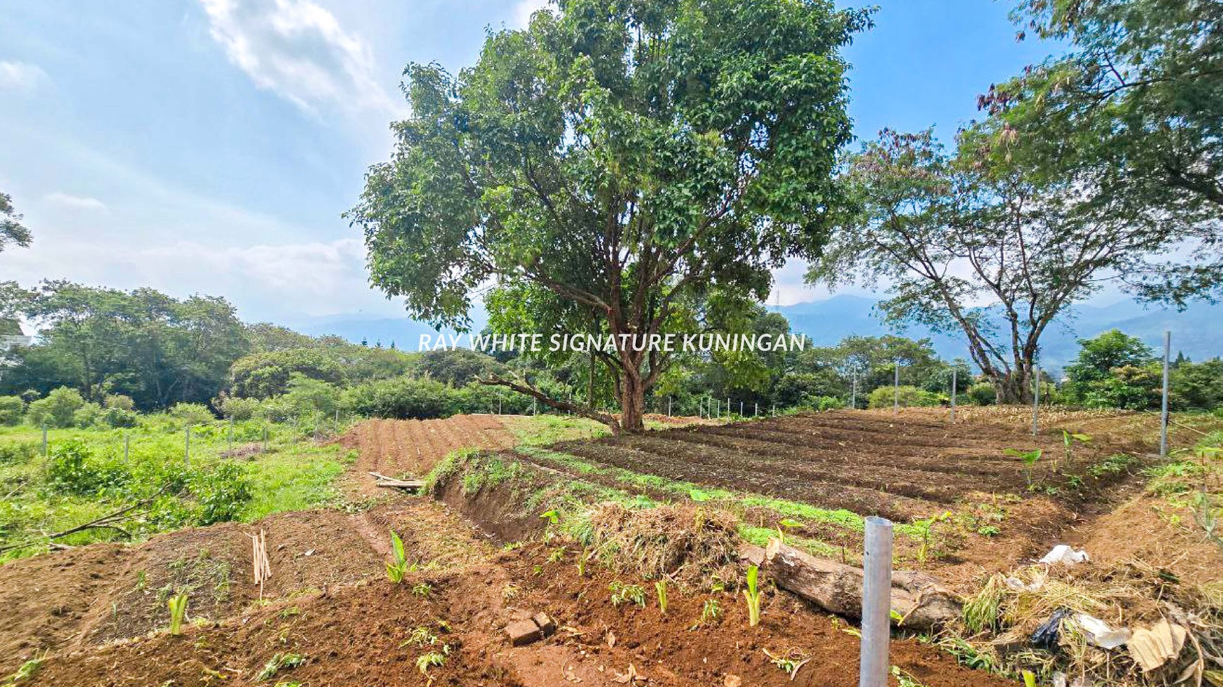 Dijual Tanah Kavling Strategis di Pesona Alam Cisarua 