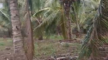 Kavling Murah Siap Bangun Lokasi Pinggir Jalan @Kota Labuan Bajo