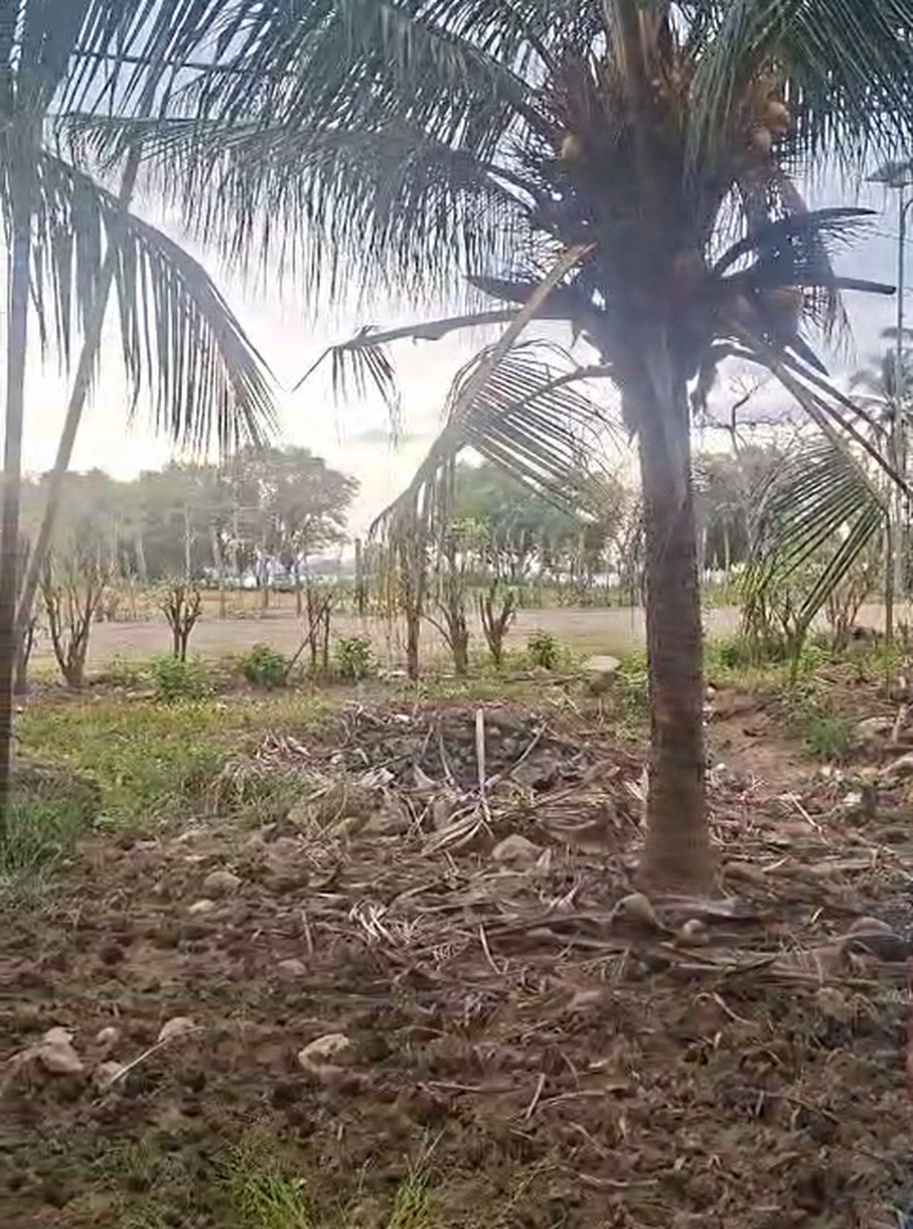 Kavling Murah Siap Bangun Lokasi Pinggir Jalan @Kota Labuan Bajo