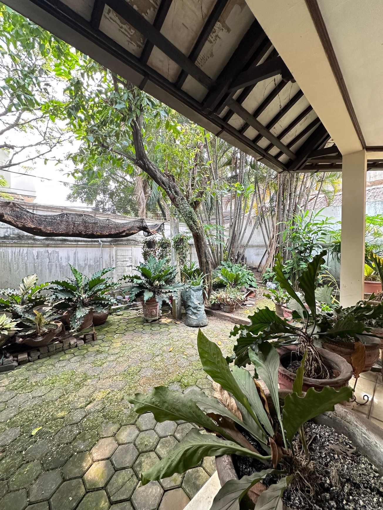 Rumah 2 lantai Murah di Cipete Selatan
