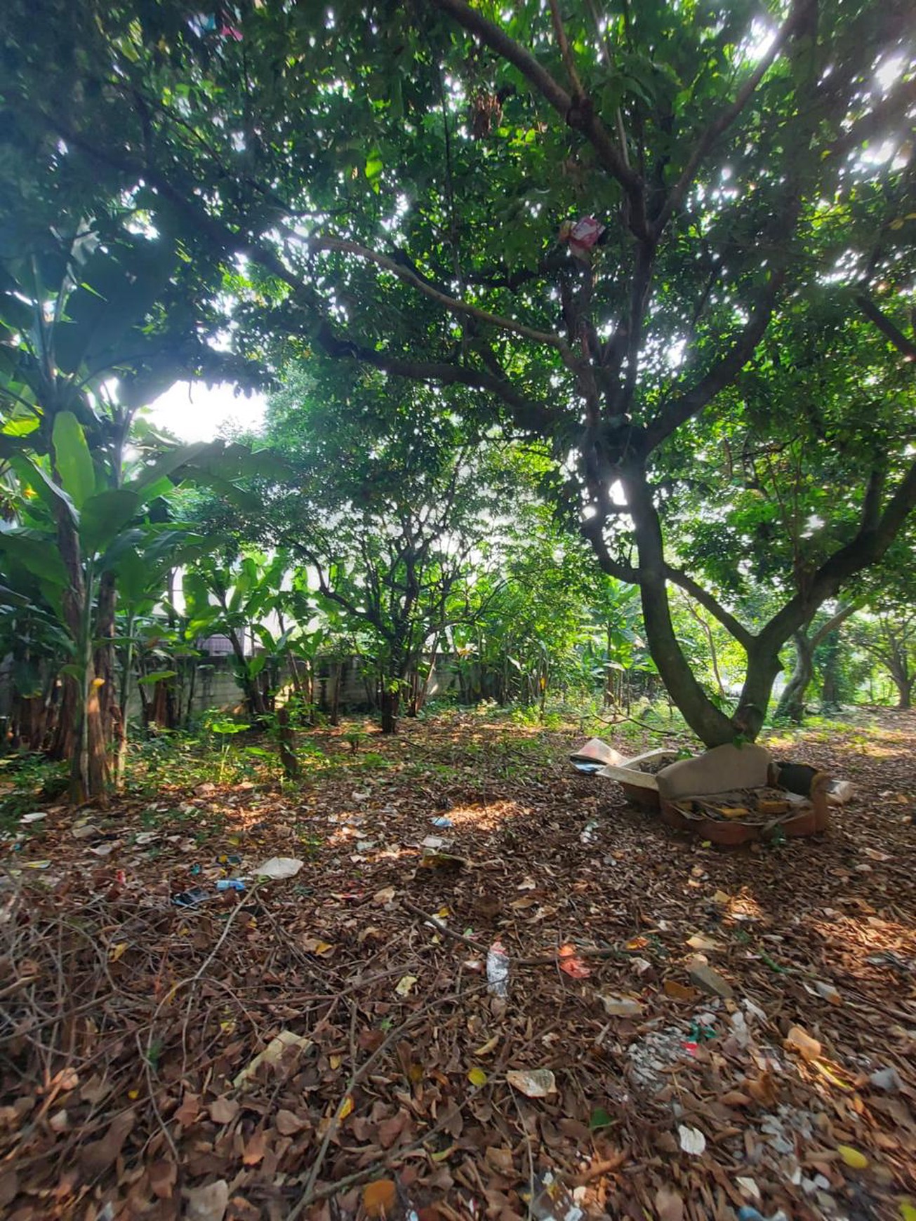 Cinere gandul pln tanah luas 3300 akses 1 mbl harga murah