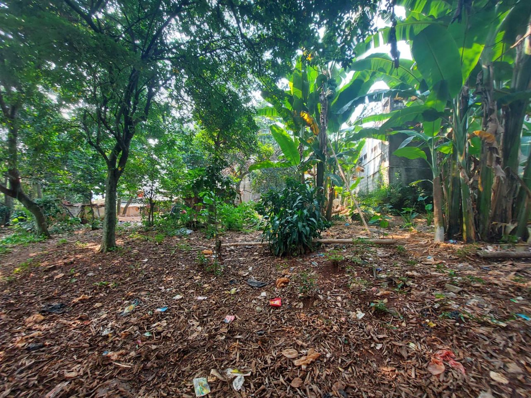 Cinere gandul pln tanah luas 3300 akses 1 mbl harga murah