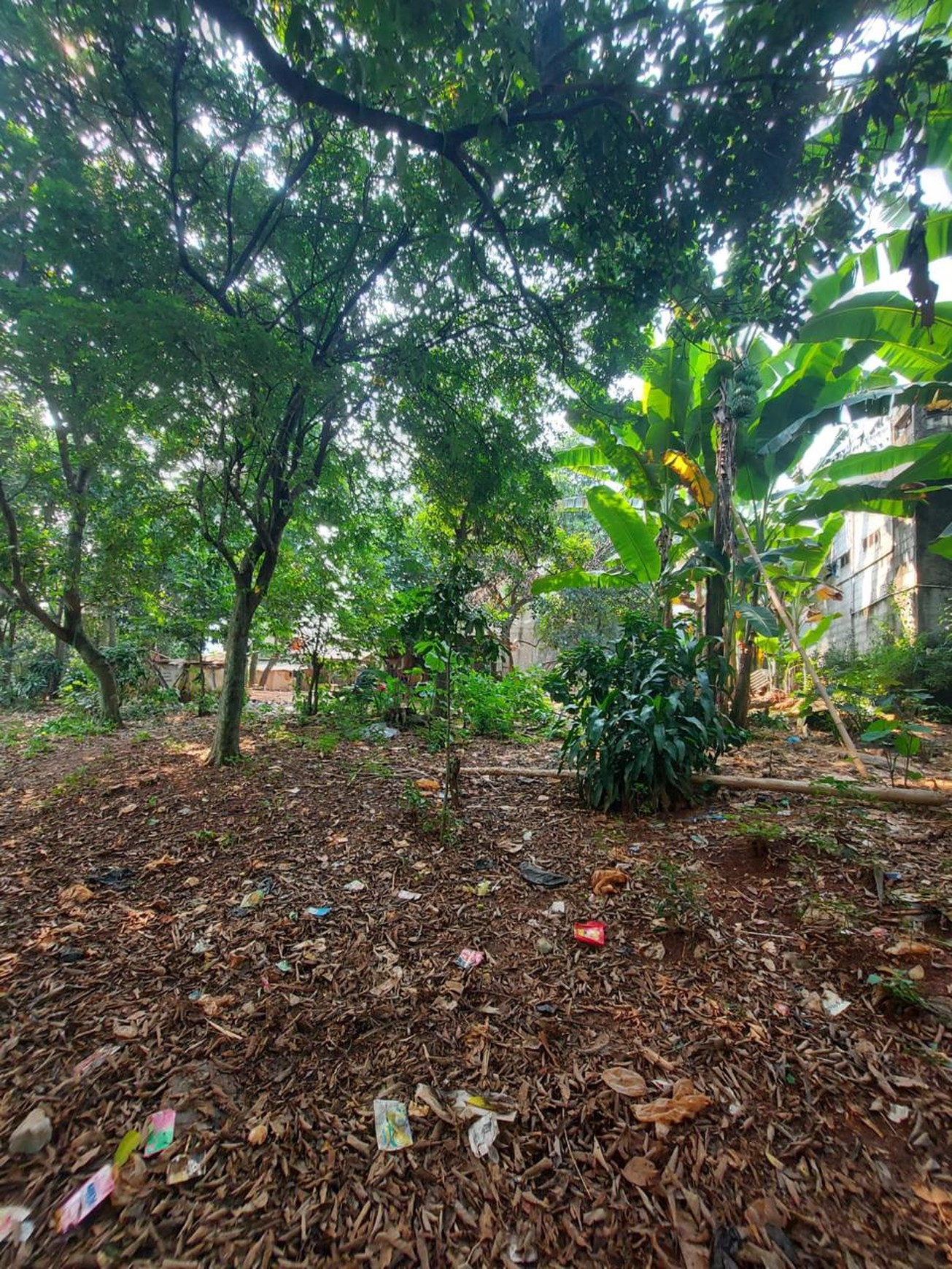 Cinere gandul pln tanah luas 3300 akses 1 mbl harga murah