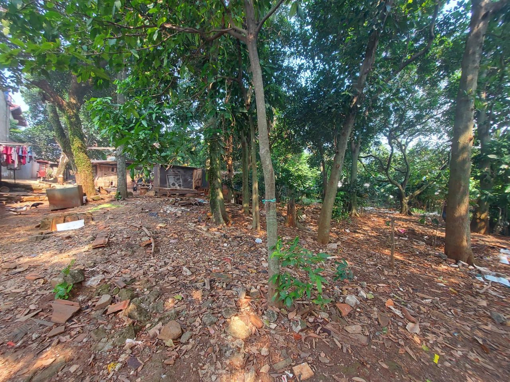 Cinere gandul pln tanah luas 3300 akses 1 mbl harga murah