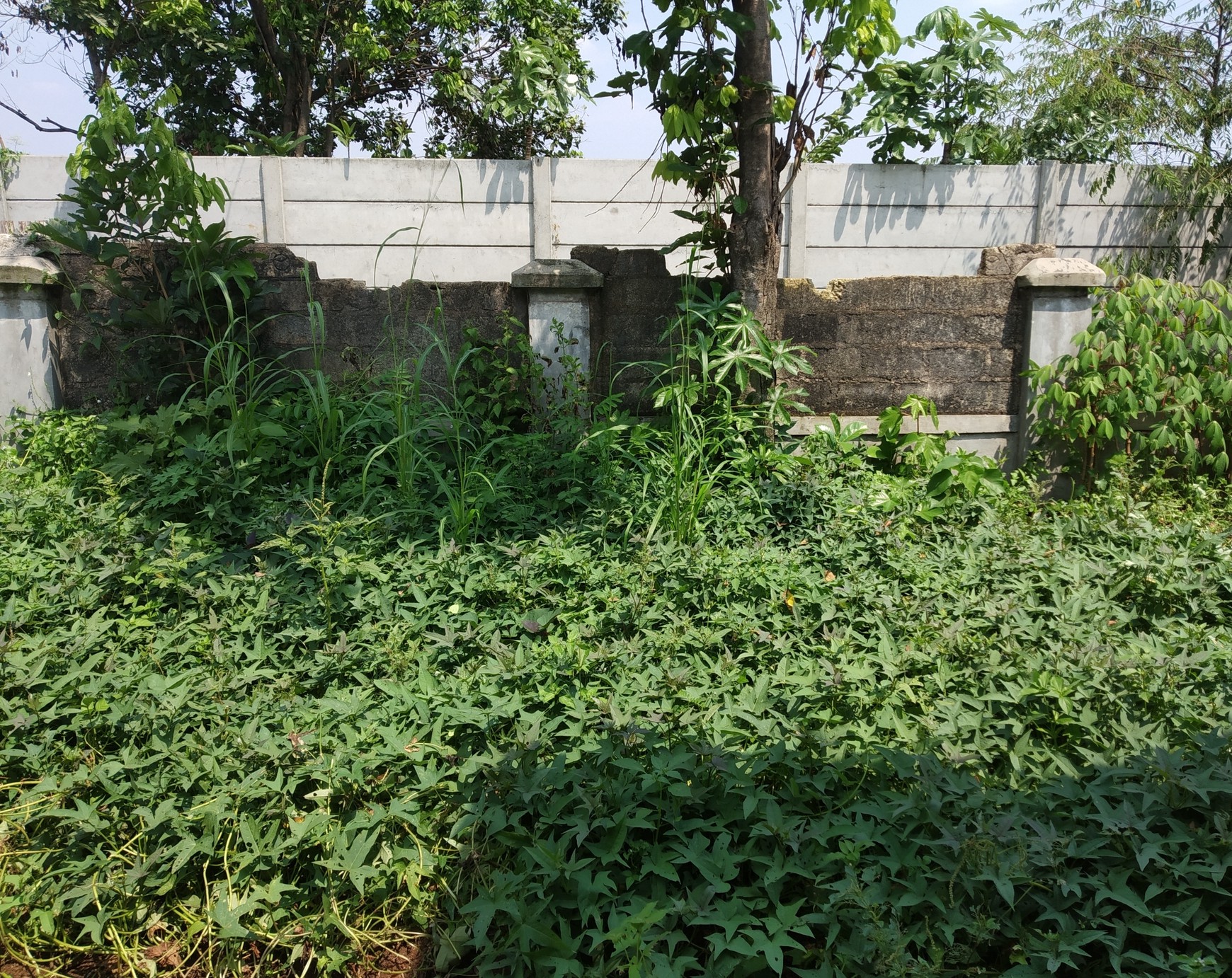 Tanah Pinggir Jalan, Siap Bangun di Sawangan, Depok