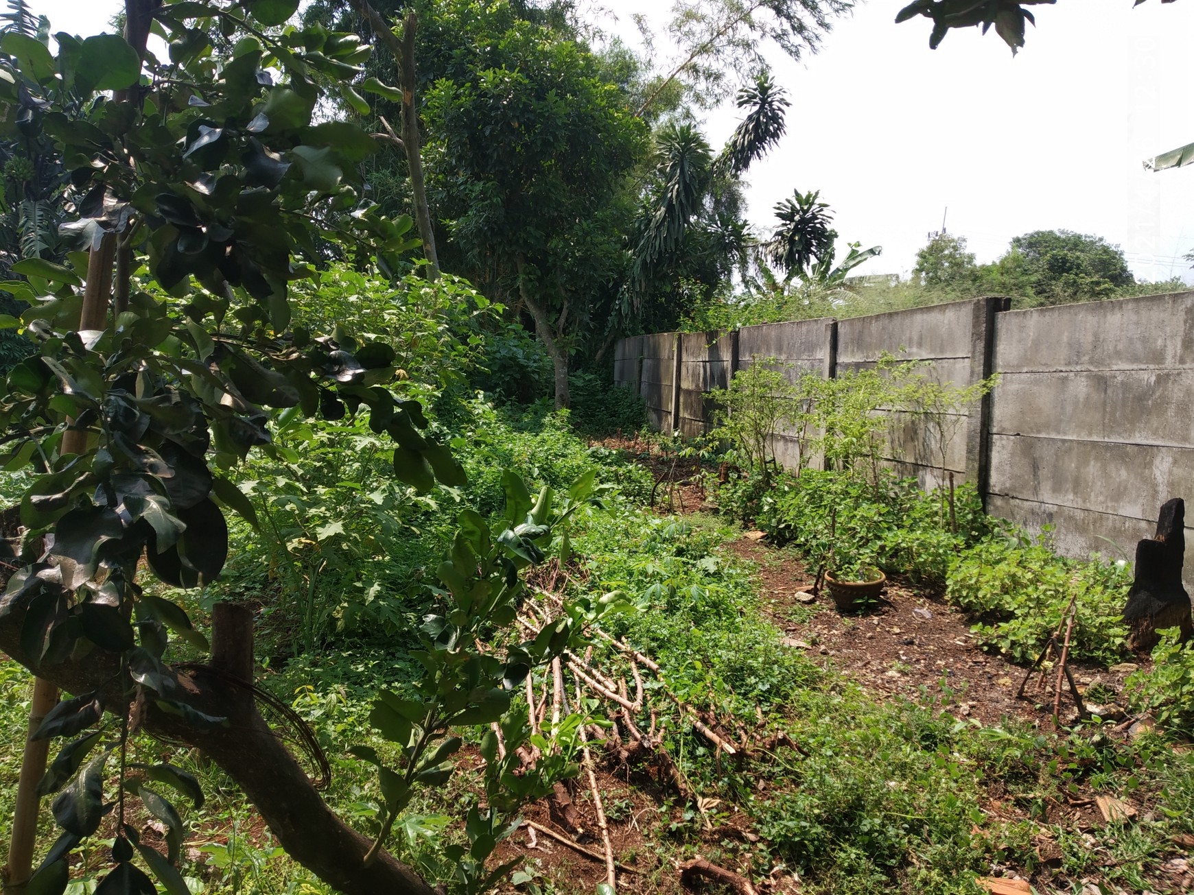 Tanah Pinggir Jalan, Siap Bangun di Sawangan, Depok