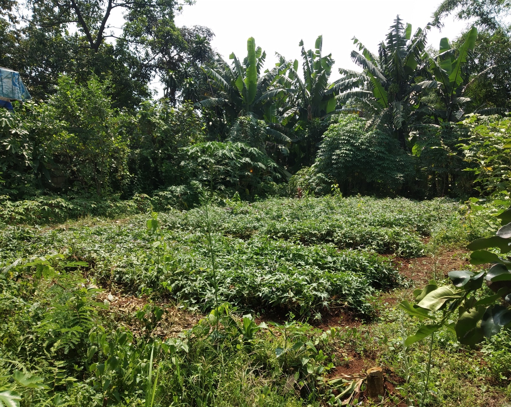 Tanah Pinggir Jalan, Siap Bangun di Sawangan, Depok
