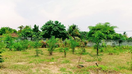 Prime Land in Central Lovina - Only 100 Meters from the Beach