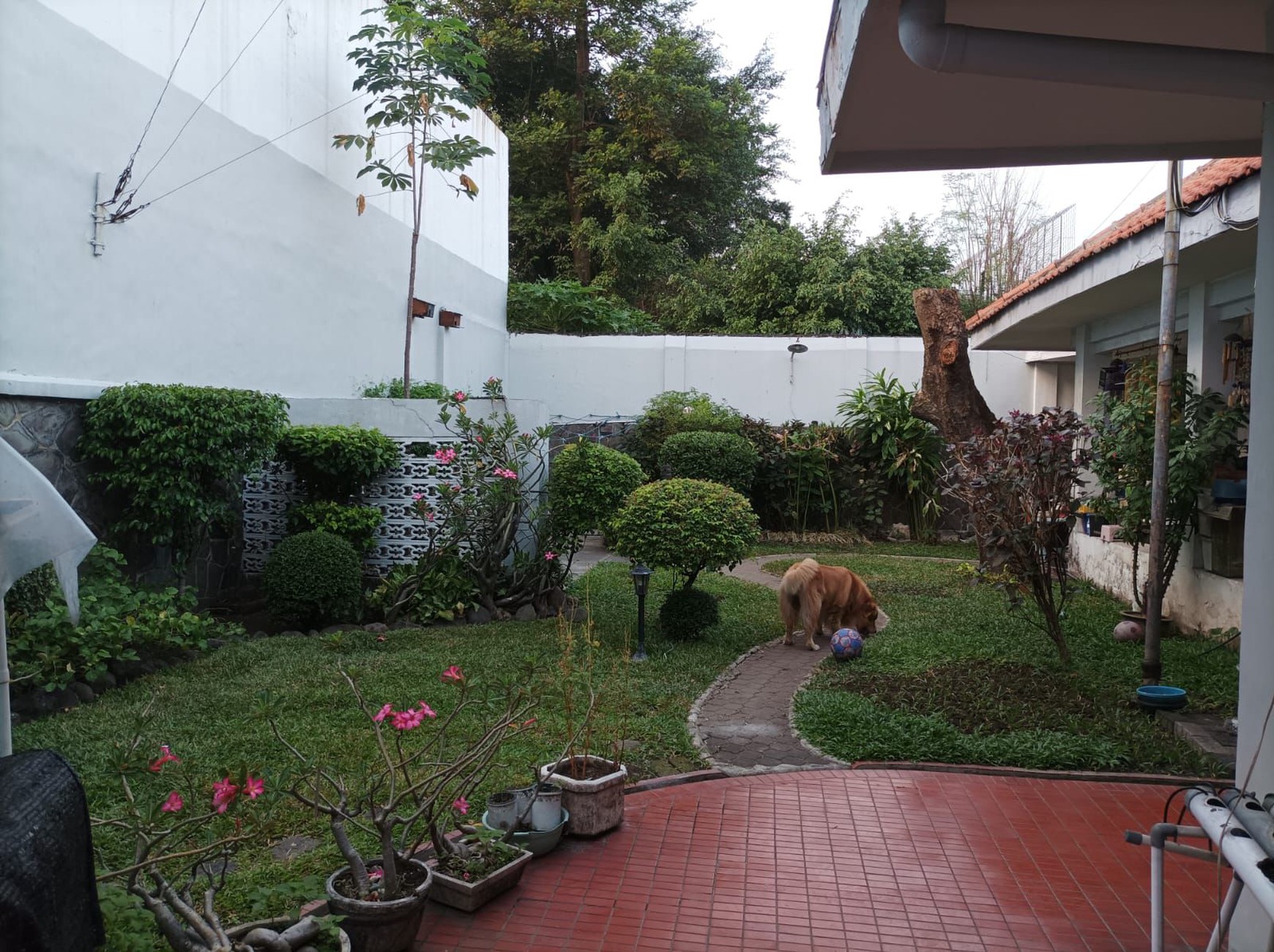 Dijual rumah murah di area raya Darmo, kapuas