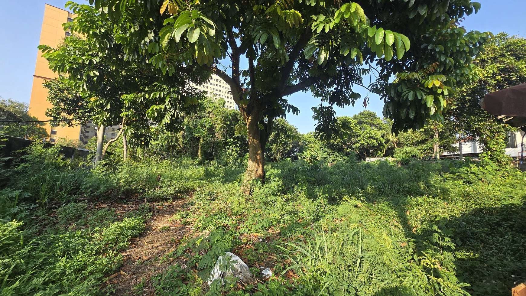 Dijual tanah di jalan baung potensi untuk usaha, kebagusan, Pasar Minggu, jakarta selatan