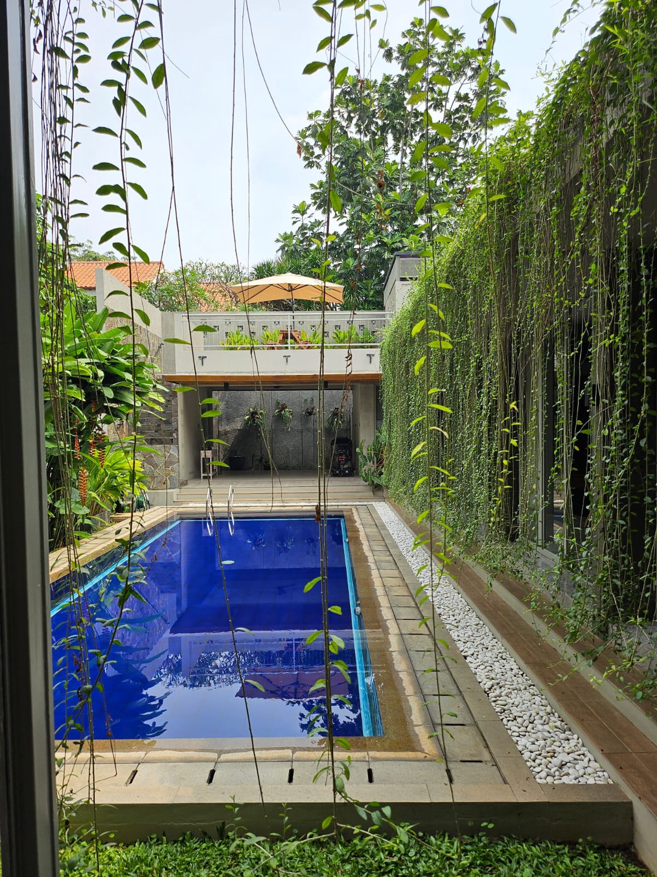 Dijual Rumah Baru - Tropical Modern Design