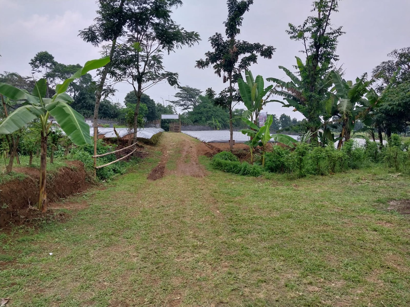 Kavling Kp. Krajan, Wanayasa, Purwakarta