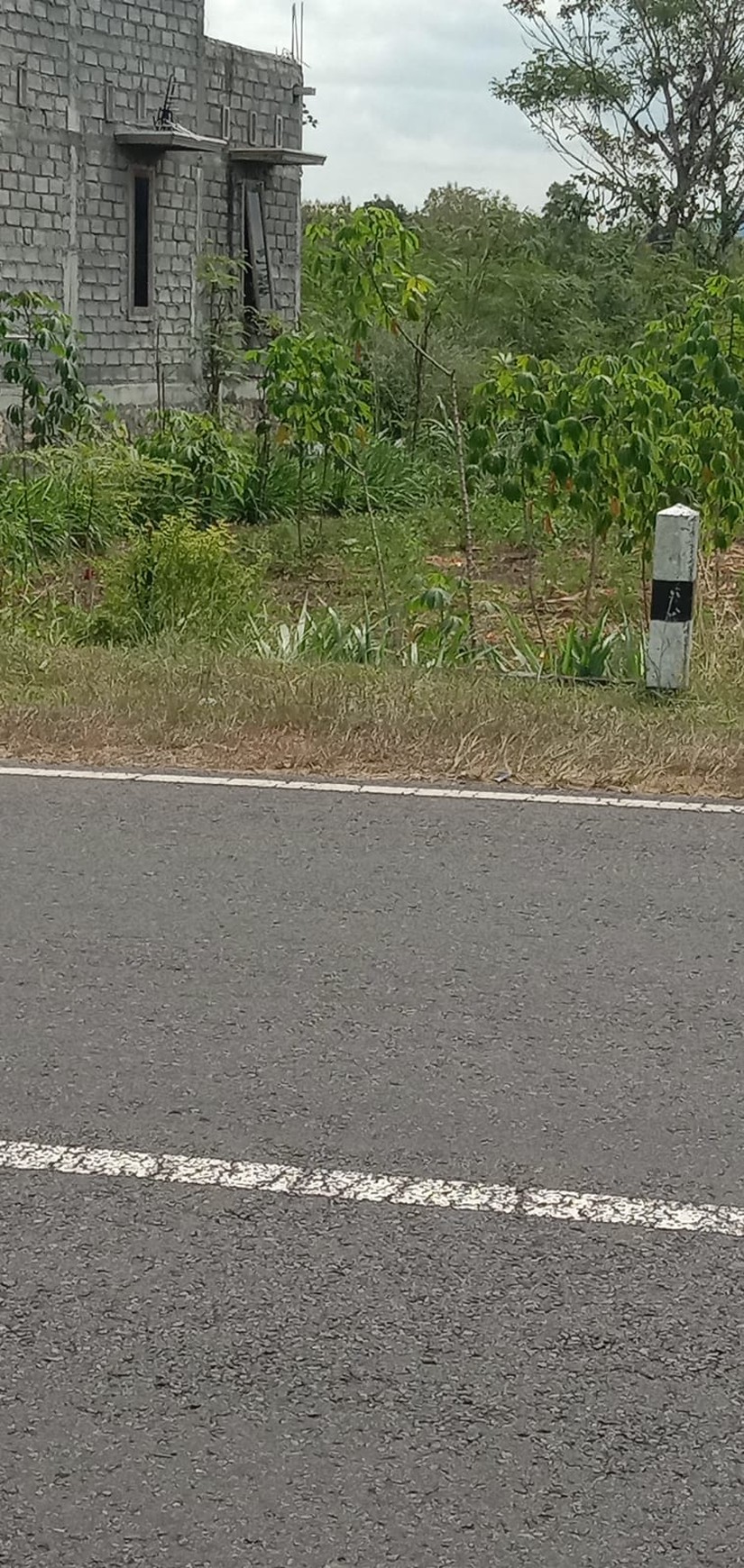 Tanah Luas 519 Meter Persegi Lokasi di Jl Alternatif Karang Mojo Playen Gunung Kidul 