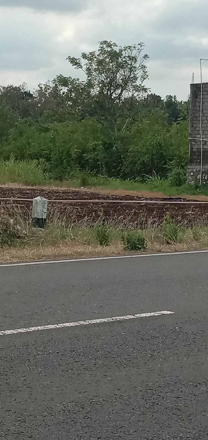 Tanah Luas 519 Meter Persegi Lokasi di Jl Alternatif Karang Mojo Playen Gunung Kidul 