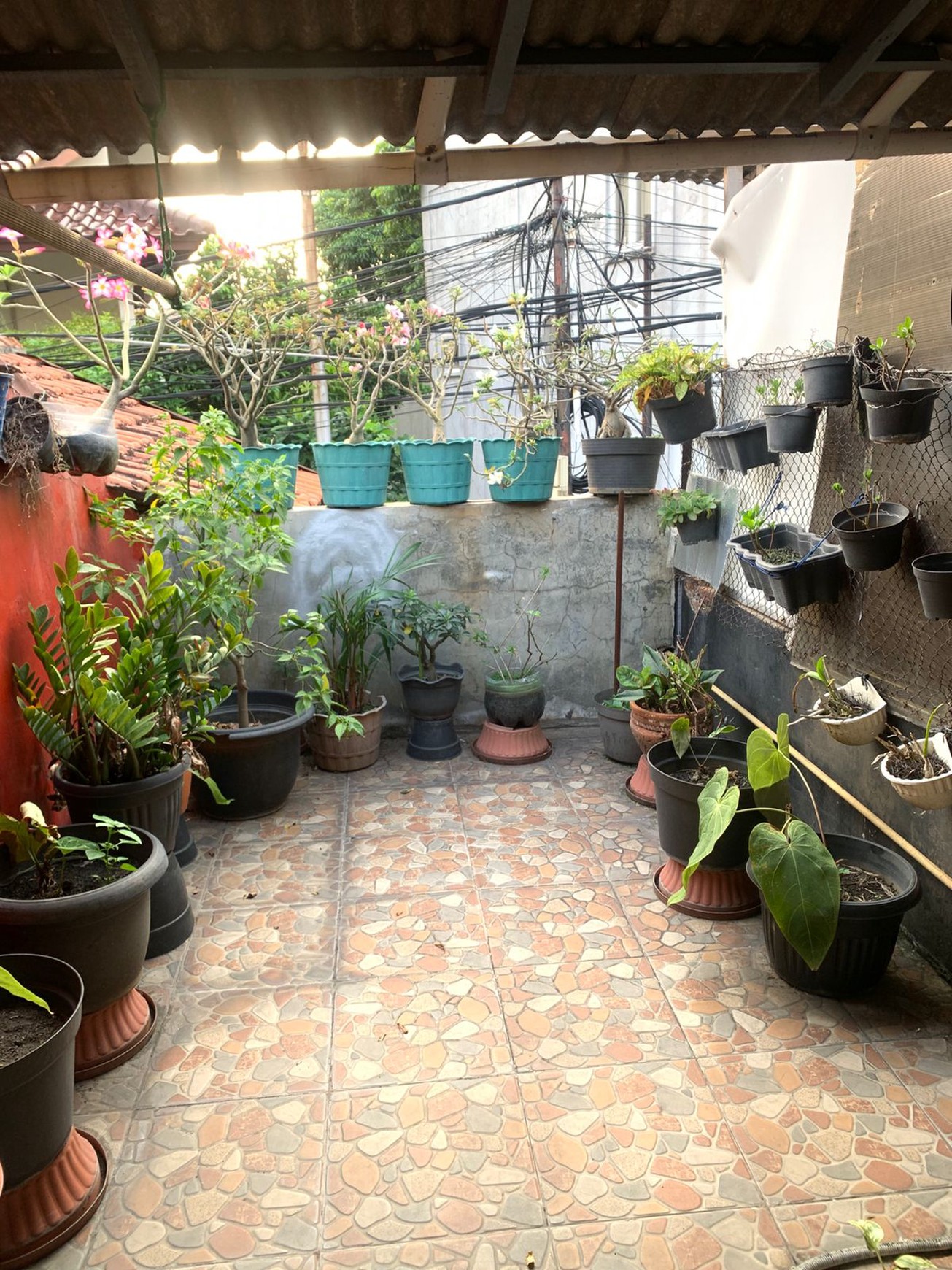 Rumah Bagus Di Jl Tebet Barat Jakarta Selatan
