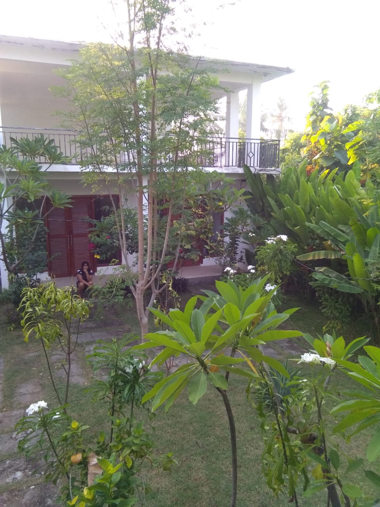 7 UNIT VILLA LOVINA DENGAN VIEW LAUT, DI TEMUKUS BALI, DEKAT KALIASEM, ANTURAN